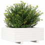 vidaXL Jardinière Blanc 60x60x26,5 cm Bois de pin Massif, jardinière d'extérieur, bac à Fleurs, boîte à Plantes, jardinière de t