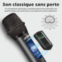 Talomen Microphone sans fil professionnel,système de dual microphone à 2.4 GHz Karaoké Dynamique Rechargeable avec Récepteur,160