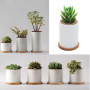 6pcs Succulentes Plateau en Bambou Plante Soucoupe Pot De Fleurs Set 3 Pouces
