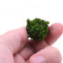 Tiardey 40 pièces Arbres de Brousse Groupes de végétation Miniatures arbustes Chemin de Fer Herbe Artificielle pour Train modèle