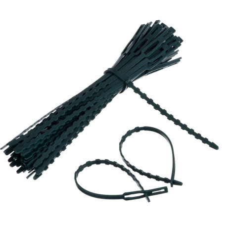 WILLBOND 50 Pièce Attache et Soutien Réglable pour Plantes, 170 mm x 8 mm Vert Foncé