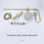 DILECI - Colonne de Douche en Or Brossé avec Mitigeur – Design Luxueux et Économiseur d’Eau – Pomme de Douche Rotative, Douchett