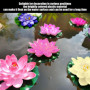 Lot de 8 fleurs de lotus artificielles - Décoration de piscine - Fleurs de lotus artificielles - Décoration de bassin en plein a