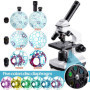 BEBANG 100X-2000X Microscope pour Enfants Adultes, Professionnel Biologique Microscope pour Etudiants Scolaire Laboratoire