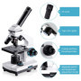 BEBANG 100X-2000X Microscope pour Enfants Adultes, Professionnel Biologique Microscope pour Etudiants Scolaire Laboratoire