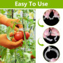 NAROSEBE 300 Pcs Clips de Support pour Plantes, Attache Plante Tuteur Φ 27mm, Clips de Fixation pour Tomates, Clips de Vigne en 