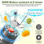 Rawhui Mixeur Électrique 800W pour Smoothies, Mini Blender avec 2 Bouteilles Portables de 600 ml, Sans BPA, 6 Lames en Acier Ino