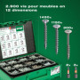 SPAX Box Systainer³ T-Loc pour la construction de meubles, set de vis avec 2.900 vis en 12 dimensions, 5 embouts T-STAR plus inc