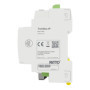 Schneider Electric RGE2092150 Twin Bus Ritto Twinbus IP Video Interphone de Porte 1WE, AP, Gris, Anthracite