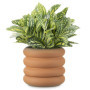 Navarsi Pot de Fleur - Pot Plante intérieur en Terre Cuite 26 x 16 x 4cm avec Base Soucoupe Amovible - Pot Fleur Interieur Exter