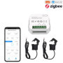 Fowecry Compteur D'Énergie Tuya Smart ZigBee 2 Voies Bidirectionnel avec Pince de Capteur de Courant App Moniteur Puissance 100-