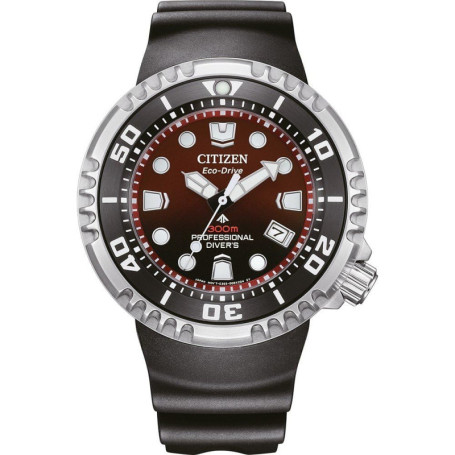 Citizen Watch BN1024-01Z