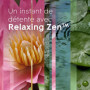 Glade Automatic Spray Diffuseur - Infusé Aux Huiles Essentielles - Jusqu'à 2 Mois De Parfum - Relaxing Zen - 1 Diffuseur + 1 Rec