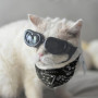 1 Petite Lunettes Pour Chien Et 1 Bandana Pour Chien, Lunettes Réglables, Accessoires Pour Animaux De Compagnie, Lunettes De Sol