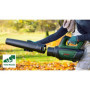 Bosch Home and Garden Souffleur de Feuilles AdvancedLeafBlower 36V-750 (Batterie 2,0 Ah, système 36 Volts, pour éliminer Les Feu