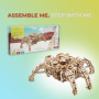 UGEARS Hexapod Explorer Puzzle 3D - Kits de modèle de Robot araignée mécanique Cadeau de fête des pères pour Adultes Puzzles en 