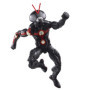 Marvel Hasbro Legends Series, Figurine articulée de Collection Future Ant-Man de 15 cm des Bandes dessinées