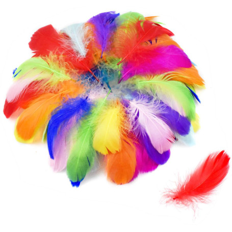 volumoon 100Pcs Plumes Colorées, Plume Loisirs Creatifs, Plumes d'oie, Plumes Décoratives, Plume Naturelles pour Attrape-Rêves, 