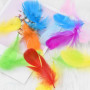 volumoon 100Pcs Plumes Colorées, Plume Loisirs Creatifs, Plumes d'oie, Plumes Décoratives, Plume Naturelles pour Attrape-Rêves, 