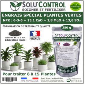 250 g Engrais Spécial Plantes Vertes 6-3-6 - Croissance, Feuillage Dense & Vitalité - Formulation Organo-Minerale - Libération L