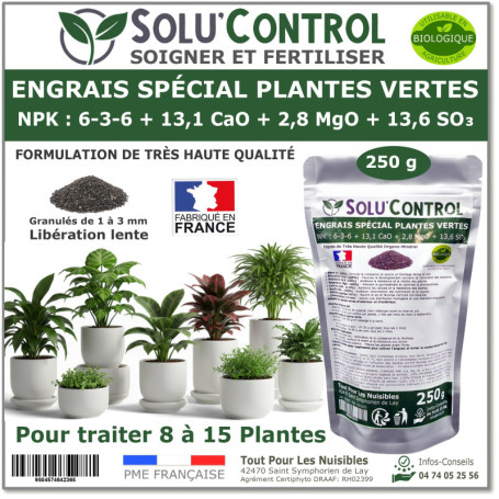 250 g Engrais Spécial Plantes Vertes 6-3-6 - Croissance, Feuillage Dense & Vitalité - Formulation Organo-Minerale - Libération L