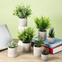 7 Pièces Plantes Artificielles,Mini Plantes Artificielles,Plantes artificielles pour la décoration du Salon, de la Chambre, du B