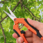2 Pièces Ciseaux Bonsai,Secateur de Jardinage Branches Feuilles Jardin et Sécateur à Sécateurs Coupe Kit les Couture Branche Fil