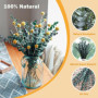 Neuytiky 20 Pièces Eucalyptus Seches,Naturel Fleurs Séchées Tiges D'Eucalyptus Véritable et Conservées de 43cm,Tige D'Eucalyptus
