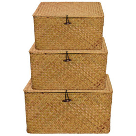 PINGEUI Lot de 3 paniers de rangement en jonc de mer avec couvercle et bouton, panier rectangulaire en jonc de mer pour vêtement