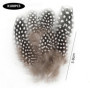 DHSBGWSX Lot de 100 plumes de perles, plumes brunes, décoration de plumes, plumes de pintade, accessoires de bijoux, décoration 