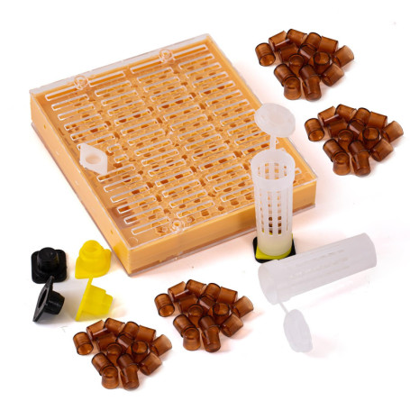 Kit elevage commplet Reines avec système Nicot pour Apiculture Outils d'élevage Reine des Abeilles