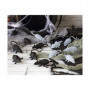 Décoration d'Halloween 12 uds Souris 13,99 €