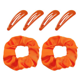 2 Élastiques À Cheveux Et 4 Pinces À Cheveux, Élastiques À Cheveux, Élastiques À Cheveux En Satin, Accessoires Pour Cheveux Mign