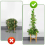 VFANDV Tuteur Plante, 120CM Support Plante Grimpante Tuteur Coco avec Twist 2 Meter pour Soutenir Les Plantes, pour Plante Jardi