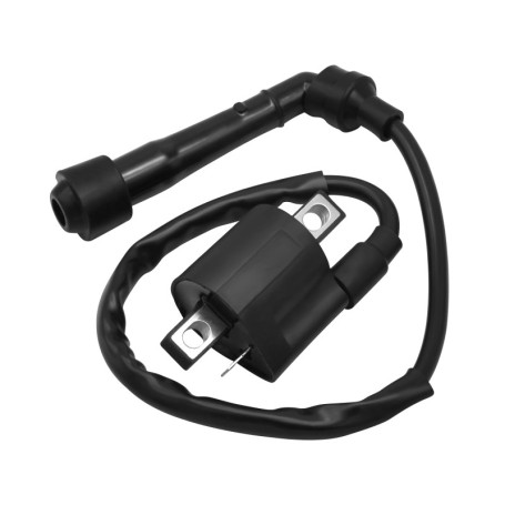 Wai Danie Bobine d'allumage Moto Compatible avec Yamaha Grizzly Raptor Rhino 660 YFM 350 YFM400 YFM660 2002-2008 Big Bear 400 Pi