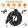 Laisse Chien, Laisse pour Chien de Grande et Moyenne Taille, Laisse pour Chien, Laisse à Double Extrémité pour Chien 3M, Laisse 