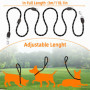 Laisse Chien, Laisse pour Chien de Grande et Moyenne Taille, Laisse pour Chien, Laisse à Double Extrémité pour Chien 3M, Laisse 