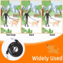 Laisse Chien, Laisse pour Chien de Grande et Moyenne Taille, Laisse pour Chien, Laisse à Double Extrémité pour Chien 3M, Laisse 