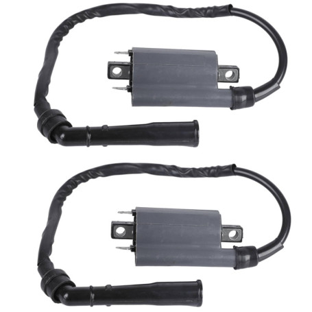 Twowinds - Bobine d'Allumage Moto Compatible avec Yamaha XV 250 Route 66 XV 250 V Star XV 250 Virago XV 750 XV 1000 XV 535 XV 11