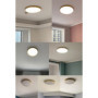 LED Plafonnier Doré Rond Panneau Intérieur Lampe De Plafond Chambre Moderne Dimmable avec Télécommande Ultra Mince Pour Couloir 
