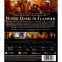 Notre Dame in Flammen [Blu-Ray] [Import]