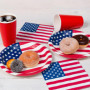 HEKU Lot de 120 pièces jetables pour fête - Motif drapeau américain - Avec assiettes en carton à motif, gobelets (0,473 l) et se