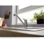 BLANCO 526403 BLANCOWEGA II Robinet de Cuisine, Chrom