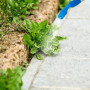 Relaxdays Pulvérisateur à Pression, 10 l, buse réglable, Graduation, Protection et arrosage des Plantes, Jaune & Bleu