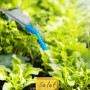 Relaxdays Pulvérisateur à Pression, 10 l, buse réglable, Graduation, Protection et arrosage des Plantes, Jaune & Bleu
