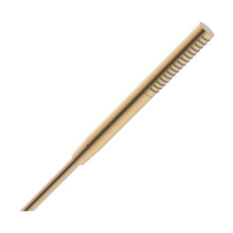 hansgrohe 24126140 Pulsify S Stabhandbrause 100 1jet EcoSmart+ Douchette à Main, Bronze brossé
