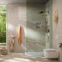 hansgrohe 24126140 Pulsify S Stabhandbrause 100 1jet EcoSmart+ Douchette à Main, Bronze brossé