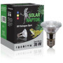 SOLAR RAPTOR Spot halogène UV - Spot chauffant pour terrarium (35 W)