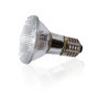 SOLAR RAPTOR Spot halogène UV - Spot chauffant pour terrarium (35 W)