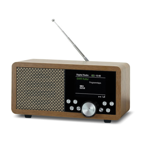 Radio Portable Dab+ Dynavox DBT600,Radio FM intégrée, pour Cuisine, Salle de Bains, Bureau, Fonction réveil, écran TFT, Alimenta
